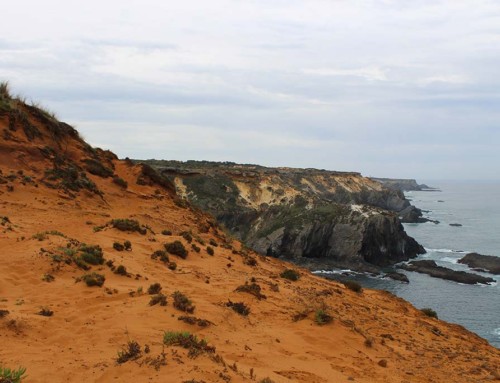 rota-vicentina-GT08