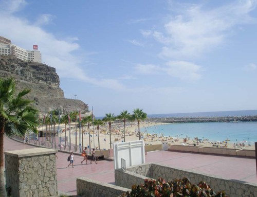 the-canary-island-GD01