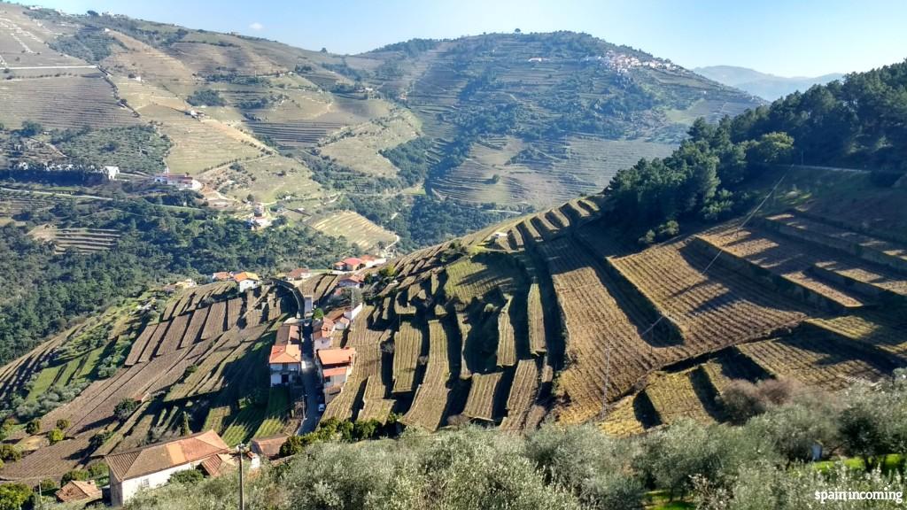 Douro Vinhateiro Landscape - UNESCO World Heritage