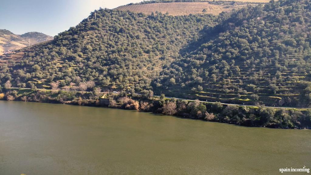 Vineyards and Douro River