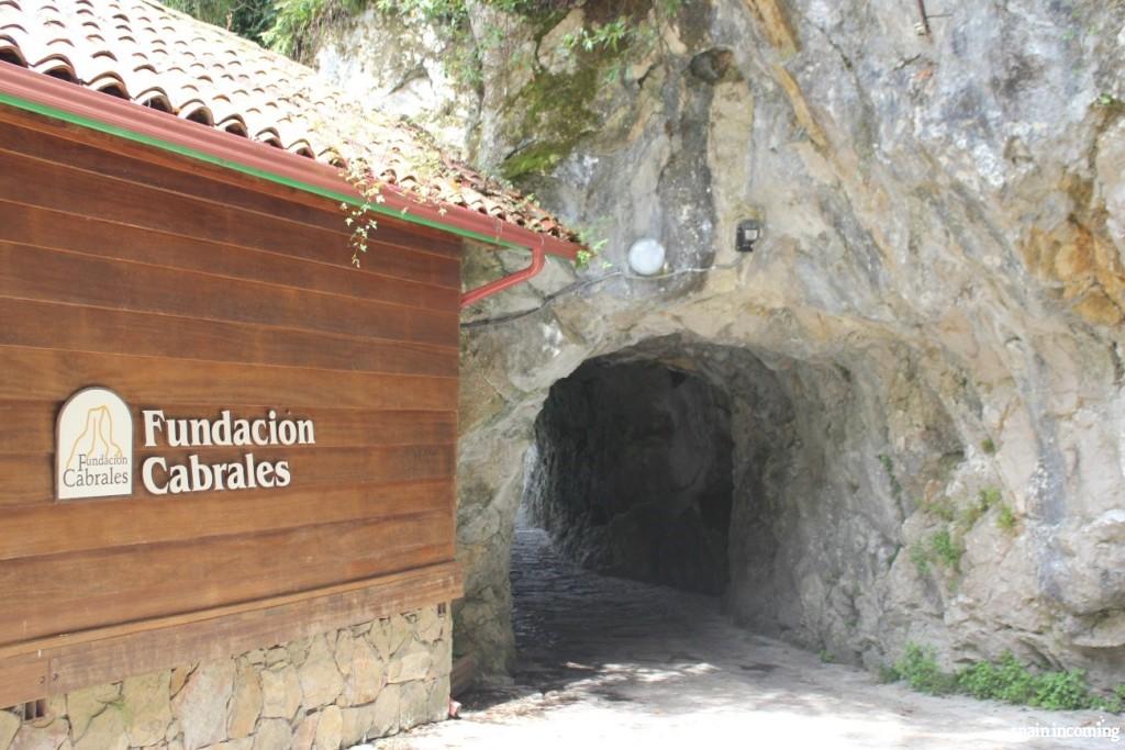 Fundación Cabrales