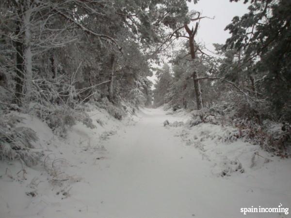 The French covered in the snow