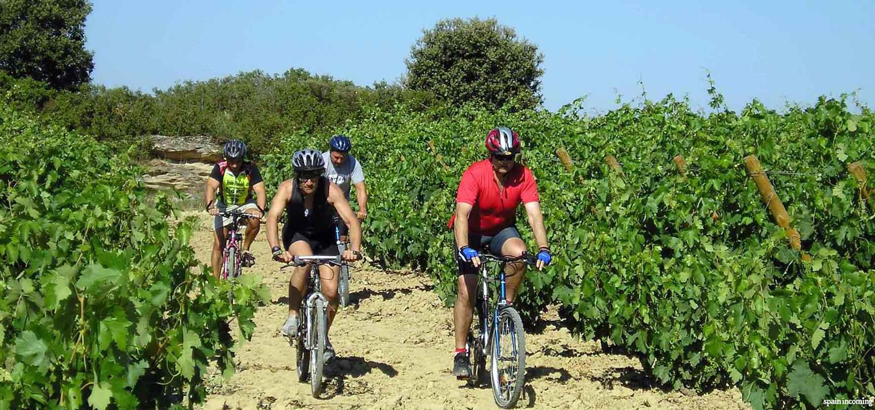 10 ideas for organize your trip to Spain - La Rioja vineyards