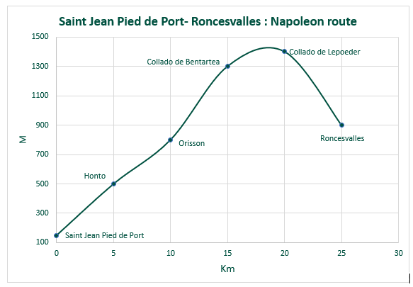 Napoleon route profile 