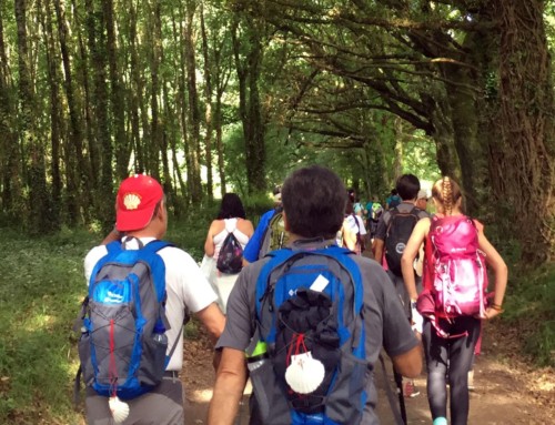 Tips for a successful Camino de Santiago