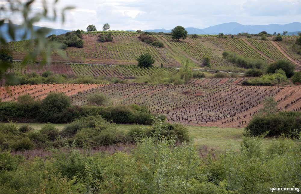 The Winter Way and the wine