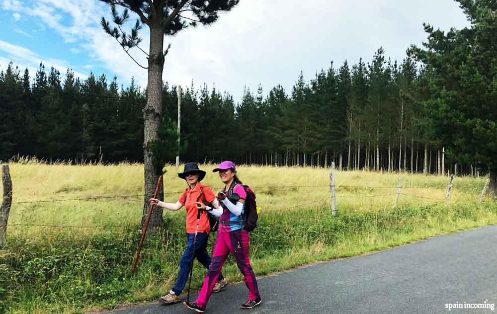 Santiago Camino-Holy Year