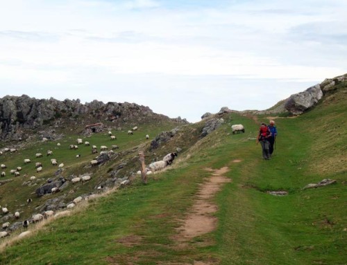 Where to sleep on the Camino de Santiago