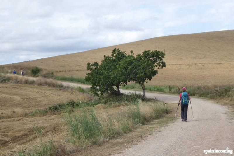 Camino de Santiago