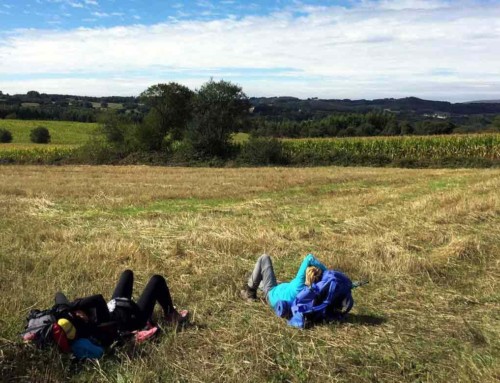 Easy walking: Camino de Santiago