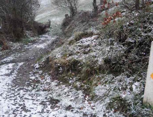 Walking the Camino in December