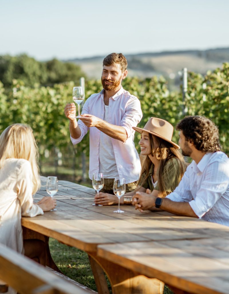 Group of a young people drinking wine and talking together while sitting at the dining table outdoors on the vineyard on a sunny evening