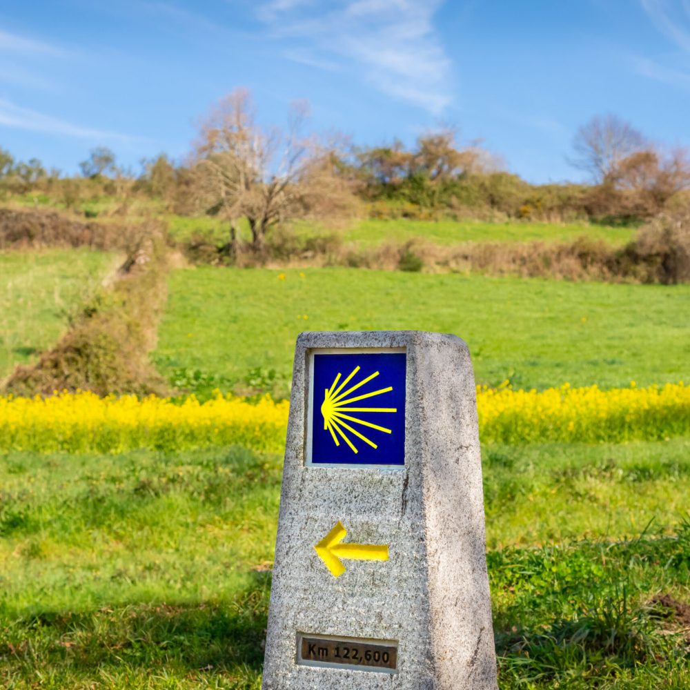 Way Marking Stone Post with Scallop Shell Symbol and Yellow Arrow Sign in the Spring Field outside Sarria, Galicia on the Trail of the Way of St James (Camino de Santiago)