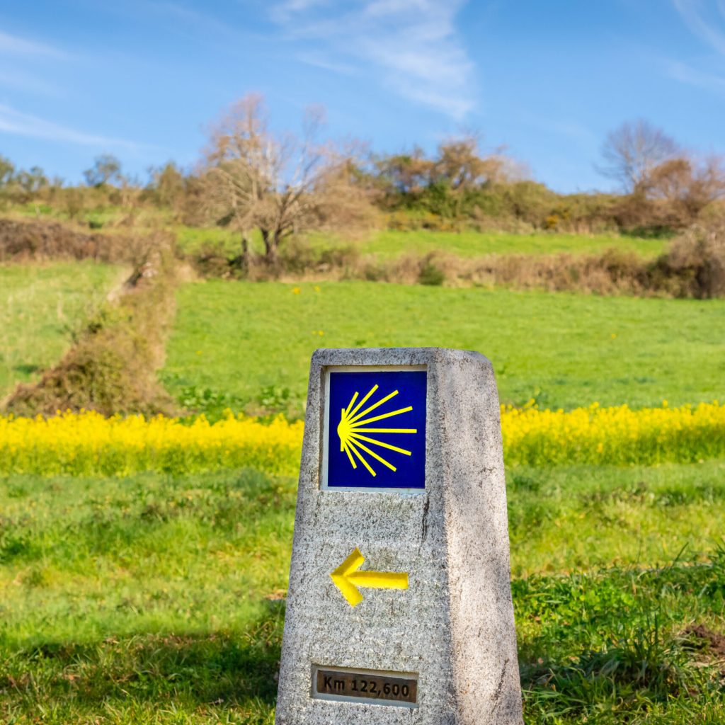 Way Marking Stone Post with Scallop Shell Symbol and Yellow Arrow Sign in the Spring Field outside Sarria, Galicia on the Trail of the Way of St James (Camino de Santiago)