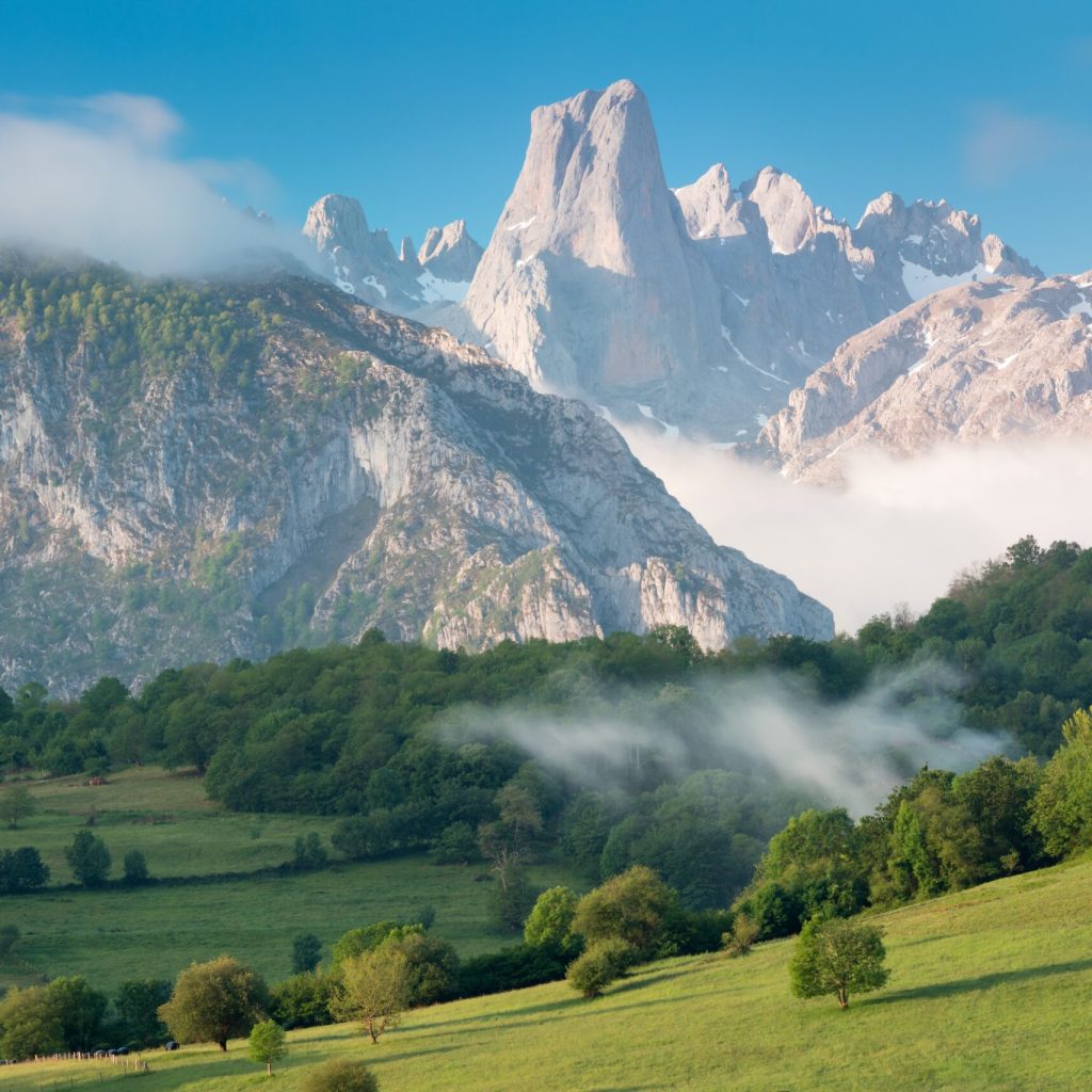 Picos de Europa