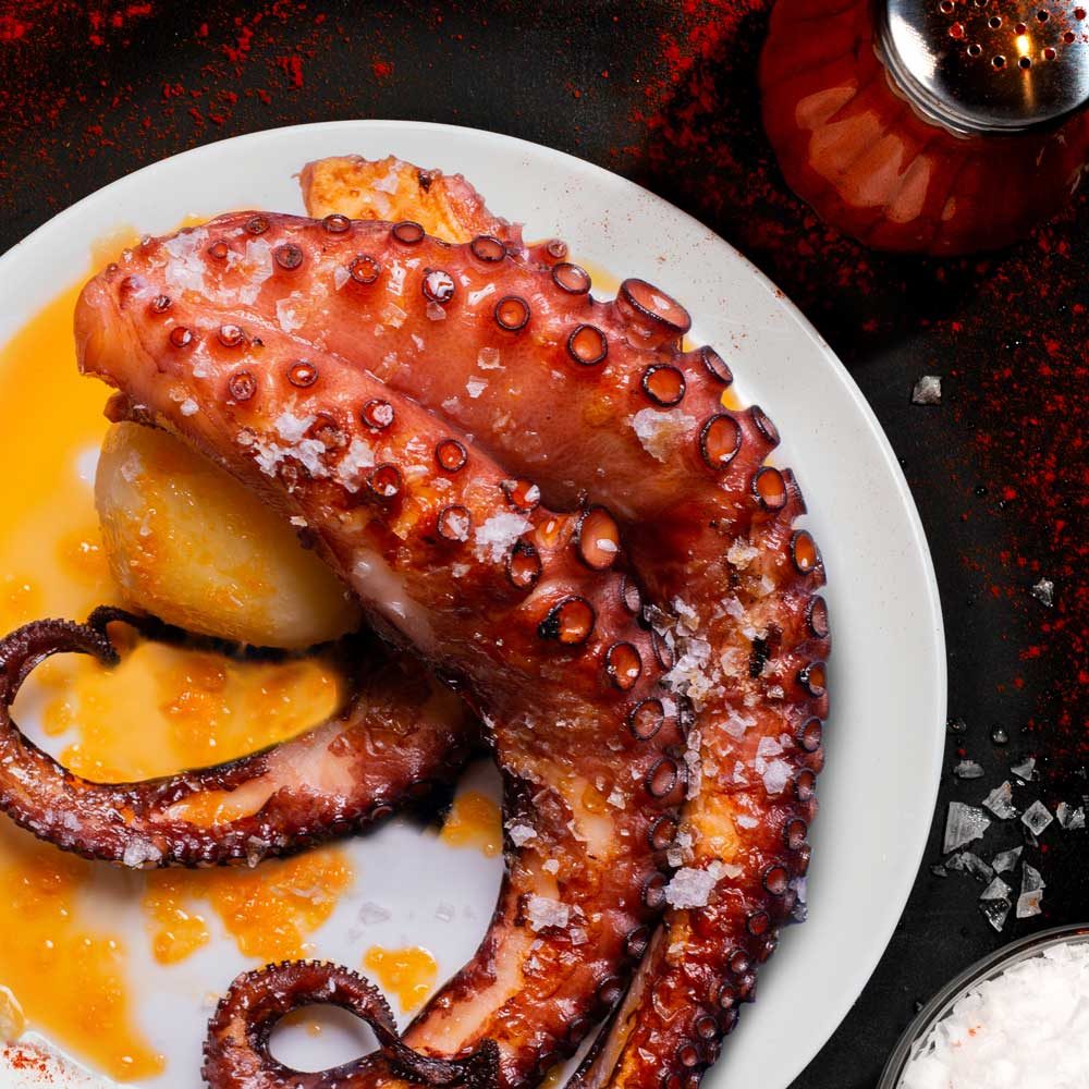 pulpo-1220